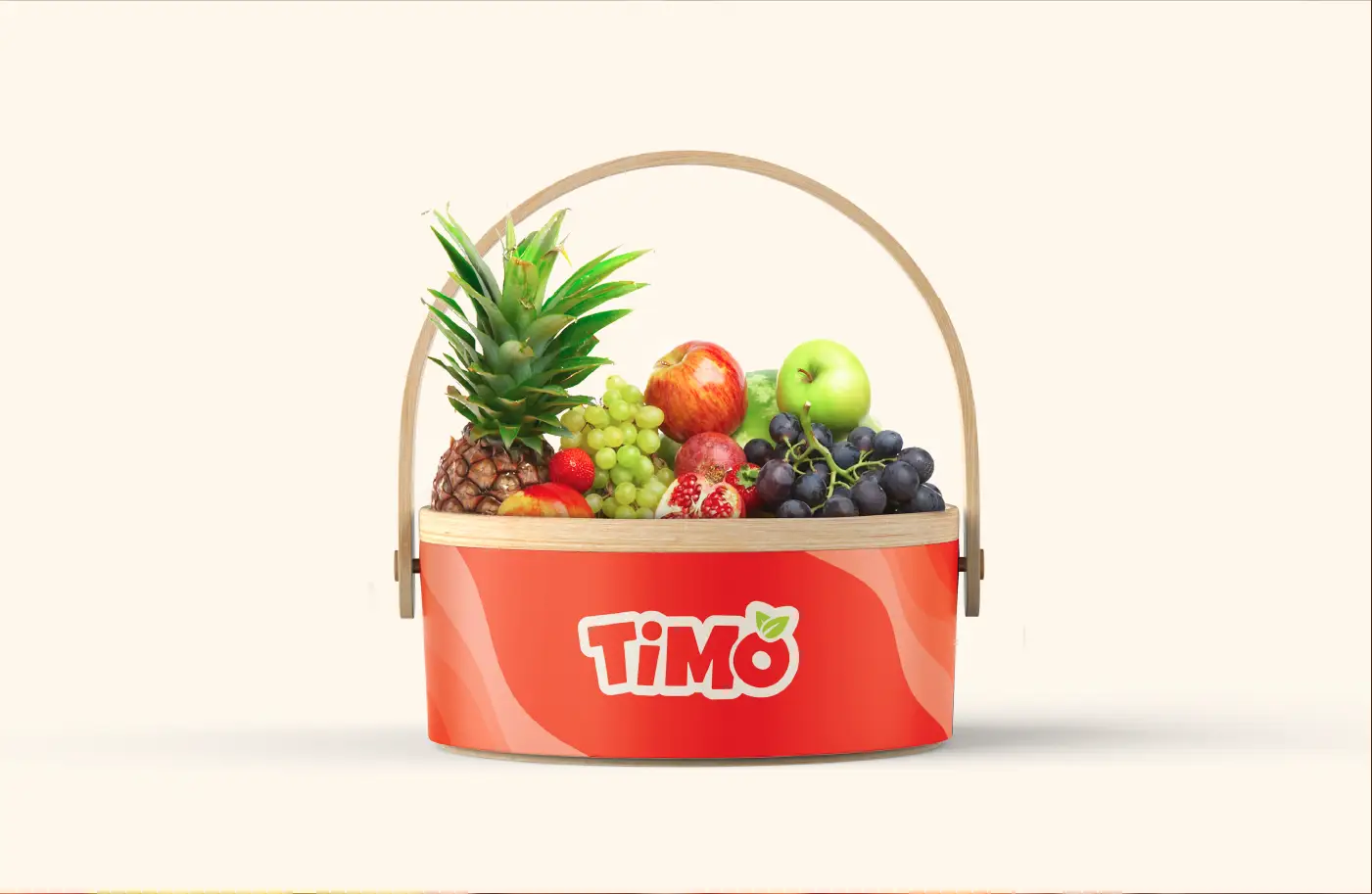 TimoPresentation 2 10